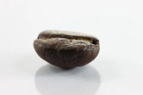 Brown coffee beans on white. Stock Photos