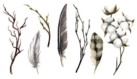 Brown collection of feathers, branches and cotton boxes Stock Illustration