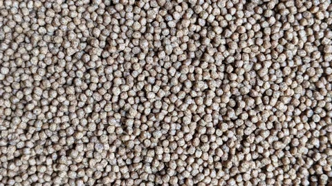 Brown color fish pellets, fish feed texture background, top view shot Stock Footage 317529184