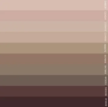 Brown color palettes. Stock Illustration