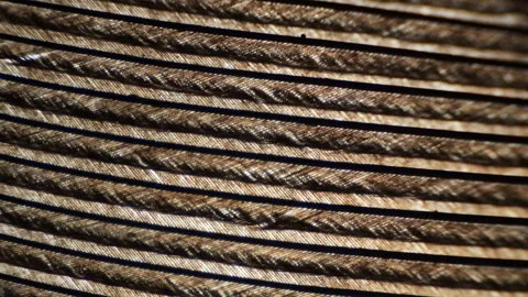 Brown colored feather under microscope. Close up view Stock Footage 306809231