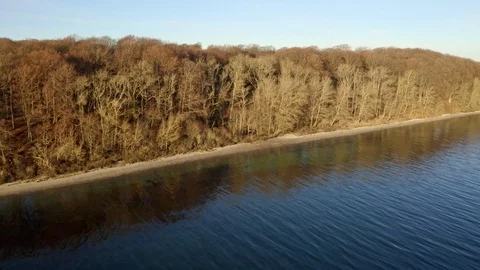 Brown colored forest in Denmark during sunset Video stock 103214179