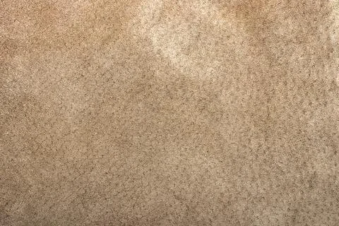 Brown colored suede material texture. Stock Photos