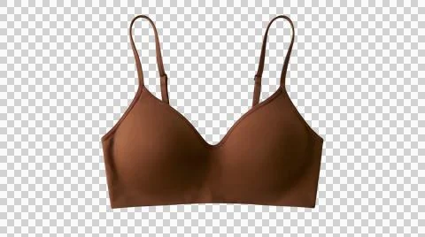 Brown comfortable seamless wireless bra for women Ilustração Stock