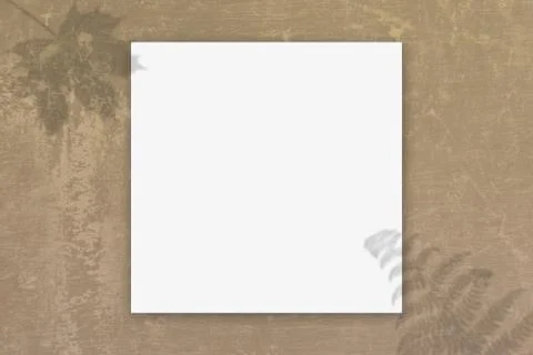 Brown Concrete Texture Background with free space for photo or text or etc. Stock Illustration