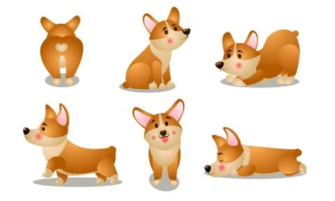 Brown corgi dog animals doing everyday things vector illustration Stock Illustration