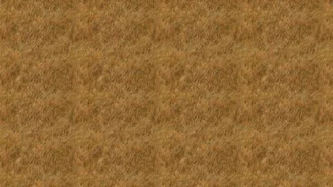 Brown cork texture background. Natural organic material surface for design .. Stock Photos