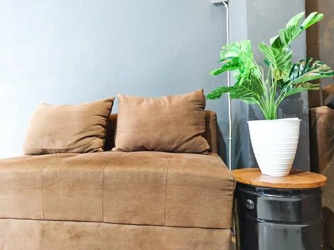 A brown couch with two pillows on it sits in front of a potted plant Stock Photos