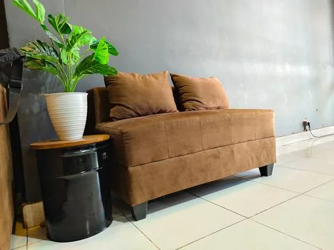 A brown couch with two pillows on it sits in front of a potted plant Stock Photos