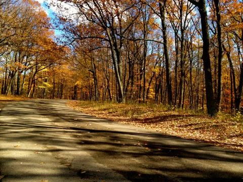 Brown county road Fotos Stock
