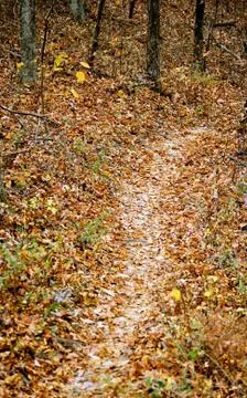 Brown county state park 写真素材