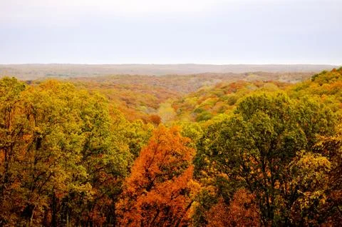 Brown county state park 写真素材