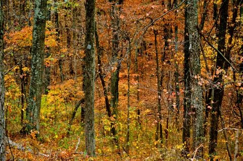 Brown county state park Stock Photos