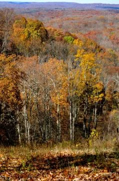 Brown county state park Stock Photos