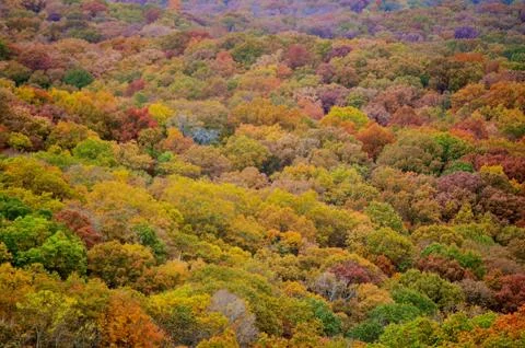 Brown county state park 写真素材