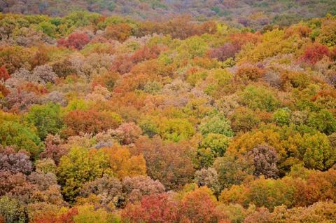 Brown county state park 写真素材