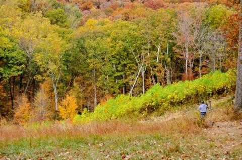 Brown county state park 写真素材