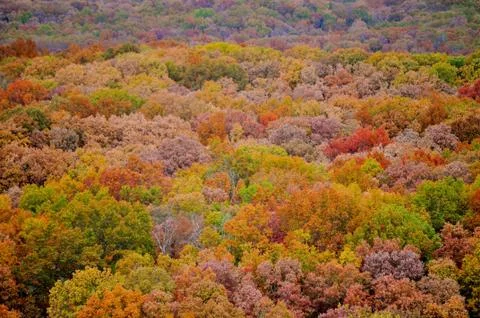 Brown county state park Fotos Stock