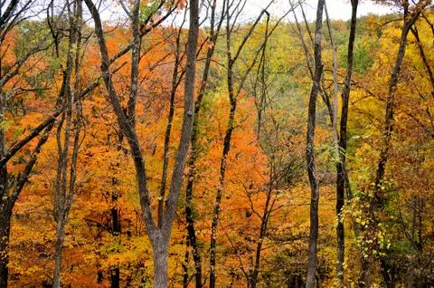 Brown county state park 写真素材