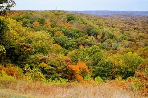 Brown county state park 写真素材