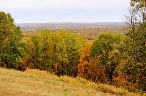Brown county state park Stockfoto's