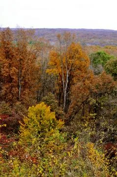Brown county state park Stock Photos