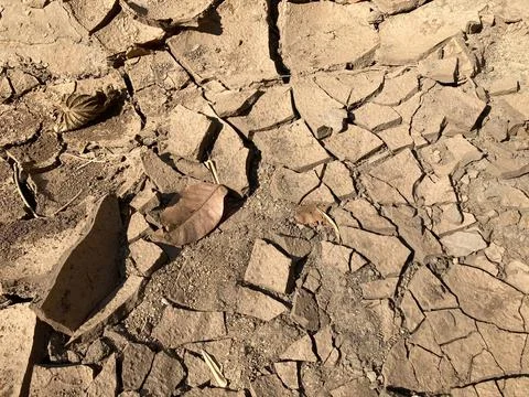 Brown cracked soil ground surface and dried leaves, drought concept Stock Photos