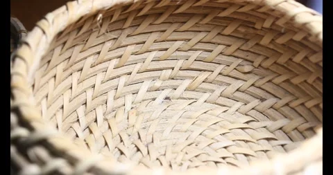 The brown cricket Stock Footage 292974521