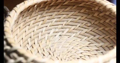 The brown cricket Stock Footage 292974699