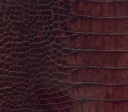 Brown crocodile leather texture Stock Photos