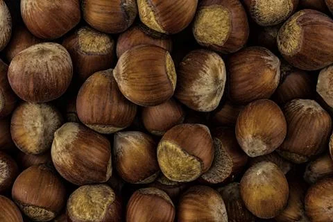 Brown crop pattern hazelnut closeup background base culinary substrate 스톡 사진