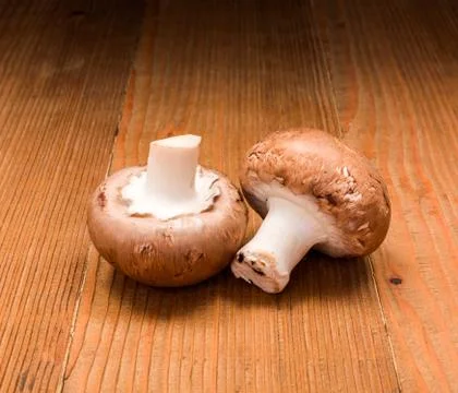 Brown cultivated champignons Stock Photos
