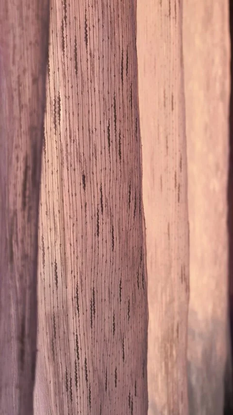 Brown curtain fabric texture close up, soft textile material and interior decor Stock Footage 335364504