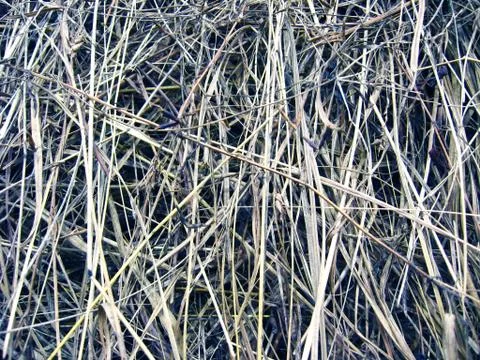 Brown dark abstract background Stock Photos