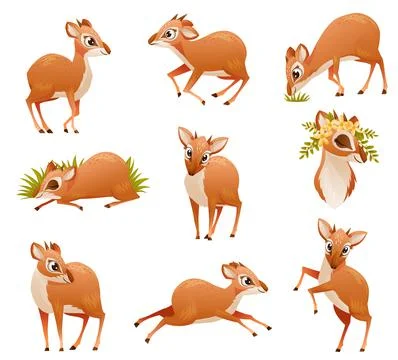 Brown Dik-dik as African Small Antelope with Horns in Different Pose Vector Set Stock Illustration