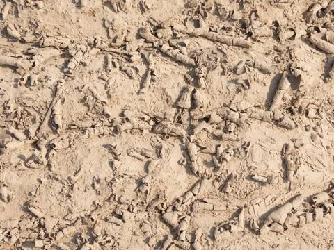 Brown dirt Stock Photos