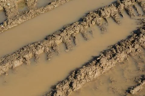 Brown dirty mud puddle Stock Photos