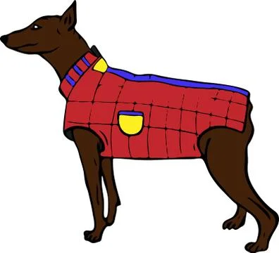 Brown doberman dog in a red jacket Stock Illustration