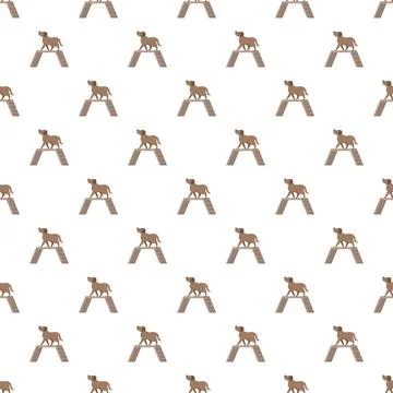 Brown dog on agility obstacle training pattern Stock Illustration