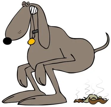 Brown dog pooping Stock Illustration