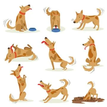 Brown Dog Set Of Normal Everyday Activities Stock Illustration