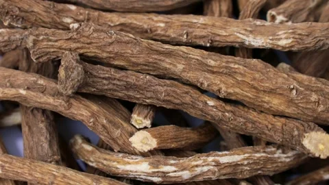 Brown dried dandelion root circle rotation close up Stock Footage 303914169