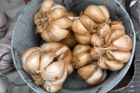 Brown Dried Garlic Stock Photos
