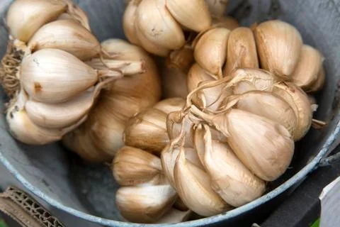 Brown Dried Garlic Stock Photos