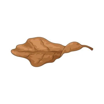 Brown dried leaf illustration Stock Illustration