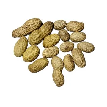 Brown Dried Peanuts Stockfoto's