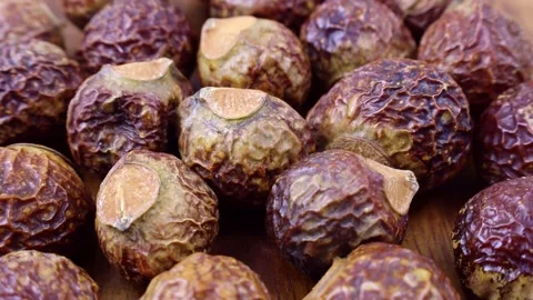 Brown dry soap nuts (Soapberries, Sapindus Mukorossi, Reetha) Stock Footage 232681095