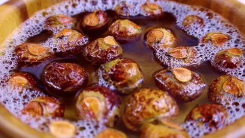 Brown dry soap nuts (Soapberries, Sapindus Mukorossi, Reetha) Stock Footage 233034813
