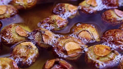 Brown dry soap nuts (Soapberries, Sapindus Mukorossi, Reetha) Video stock 233500486
