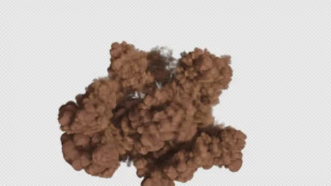 Brown dust explosion on transparent background Stock Footage 321628787